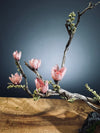 Winter's End (Preserved Plants)