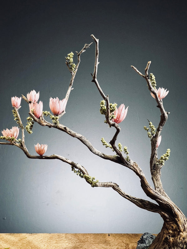Winter's End (Preserved Plants)