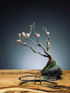 Winter's End (Preserved Plants)