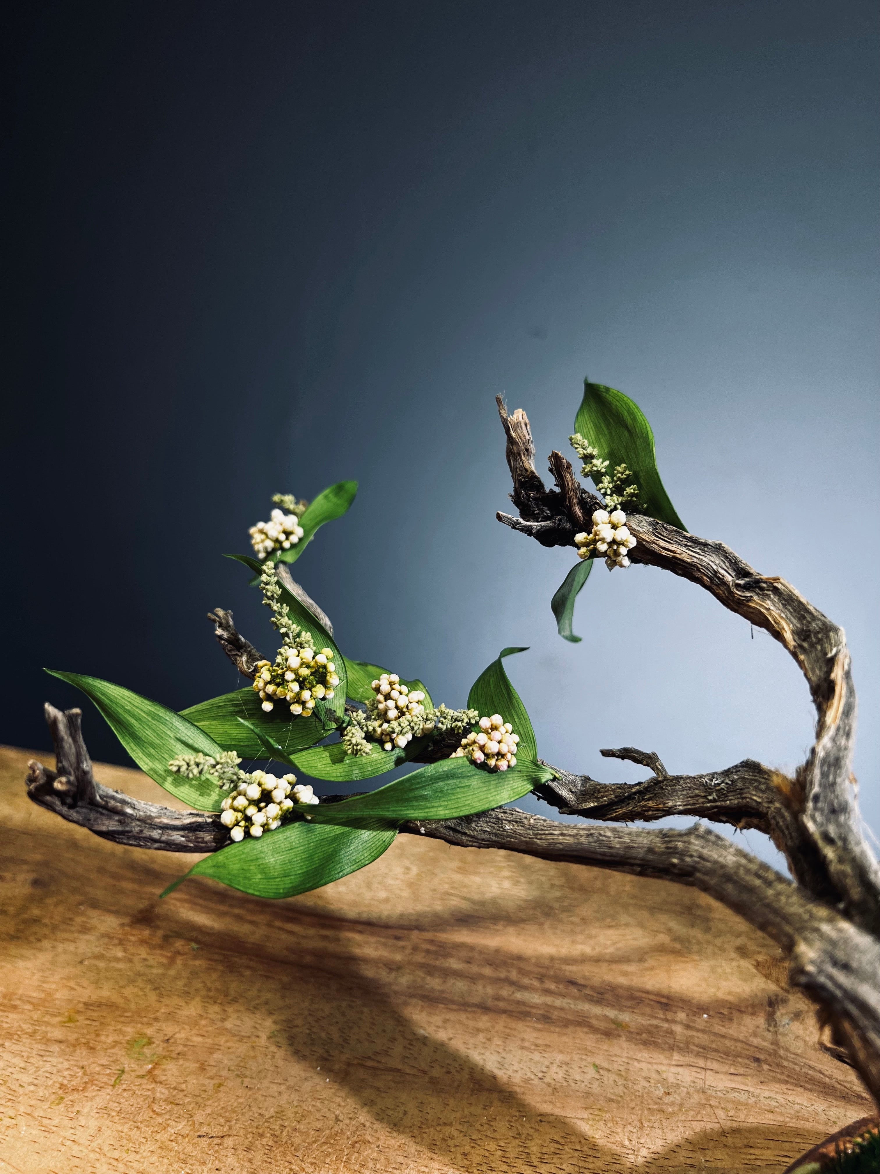 Winter's End - East Wind Moves (Preserved Plants)