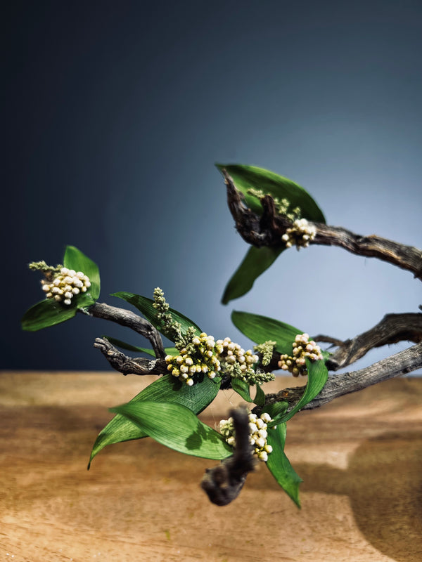 Winter's End - East Wind Moves (Preserved Plants)