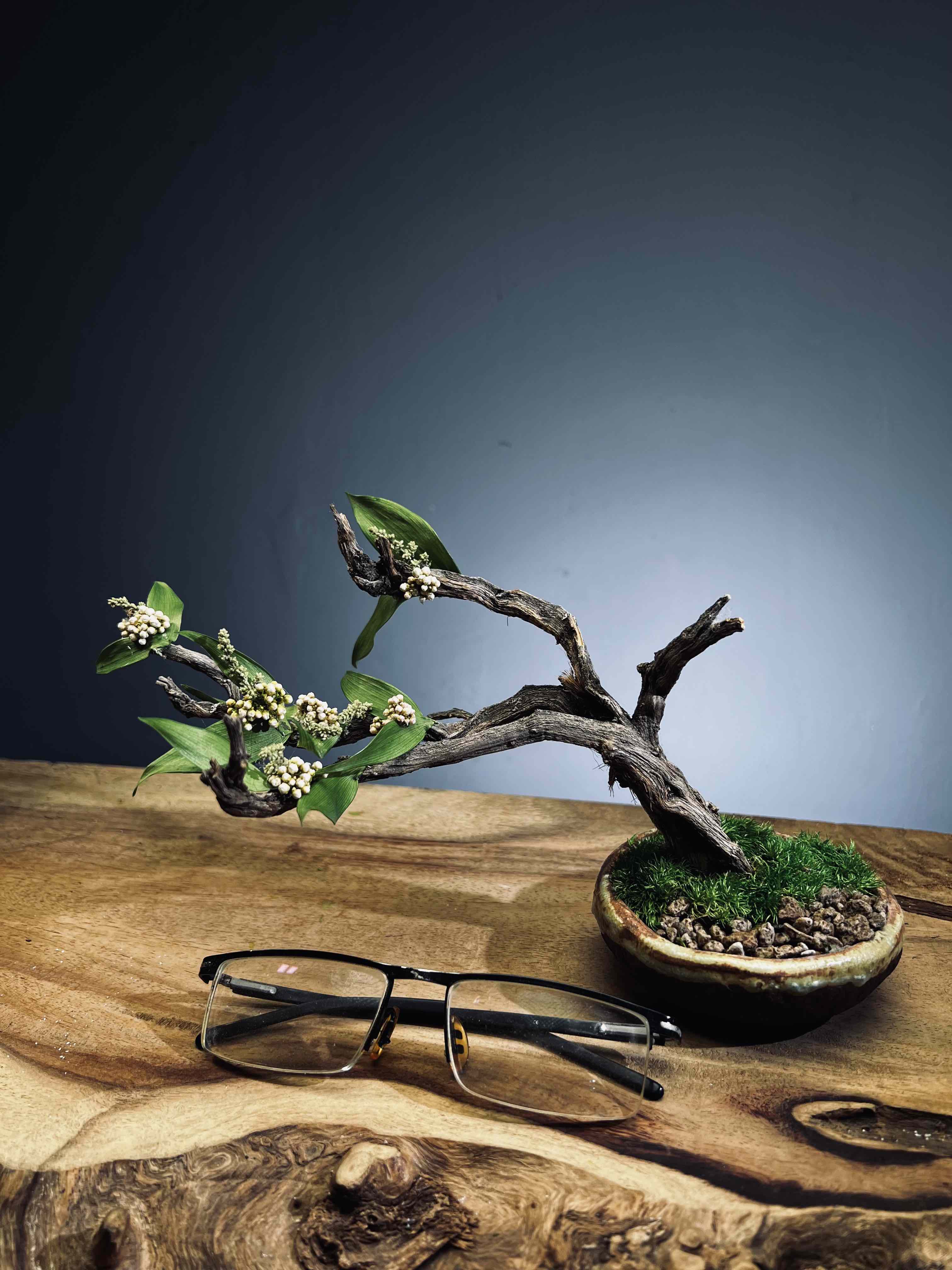 Winter's End - East Wind Moves (Preserved Plants)