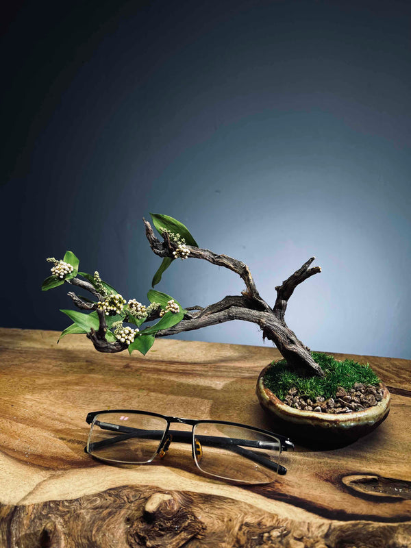 Winter's End - East Wind Moves (Preserved Plants)