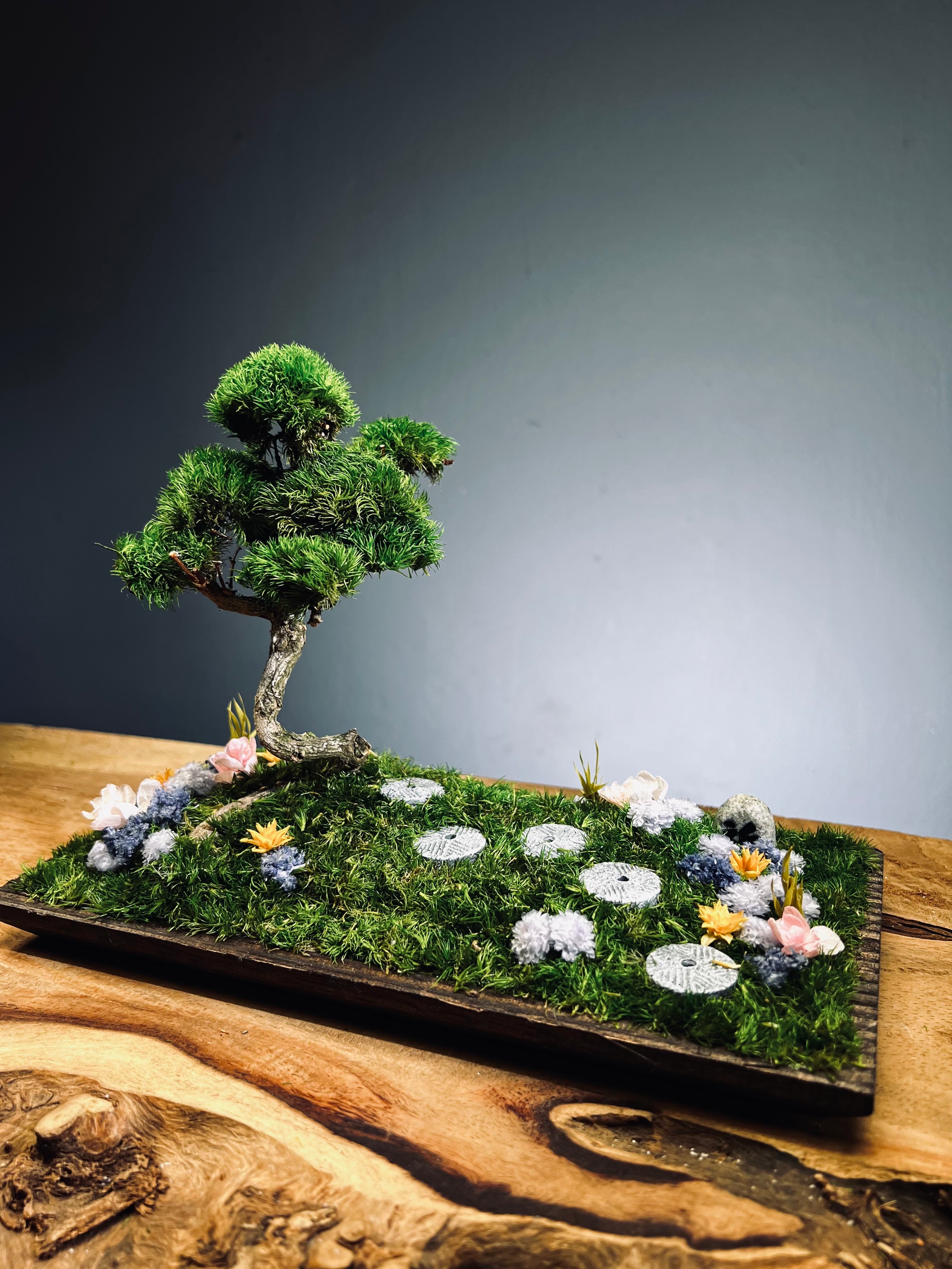 Violet Hill - Smaller version (Preserved Plants)