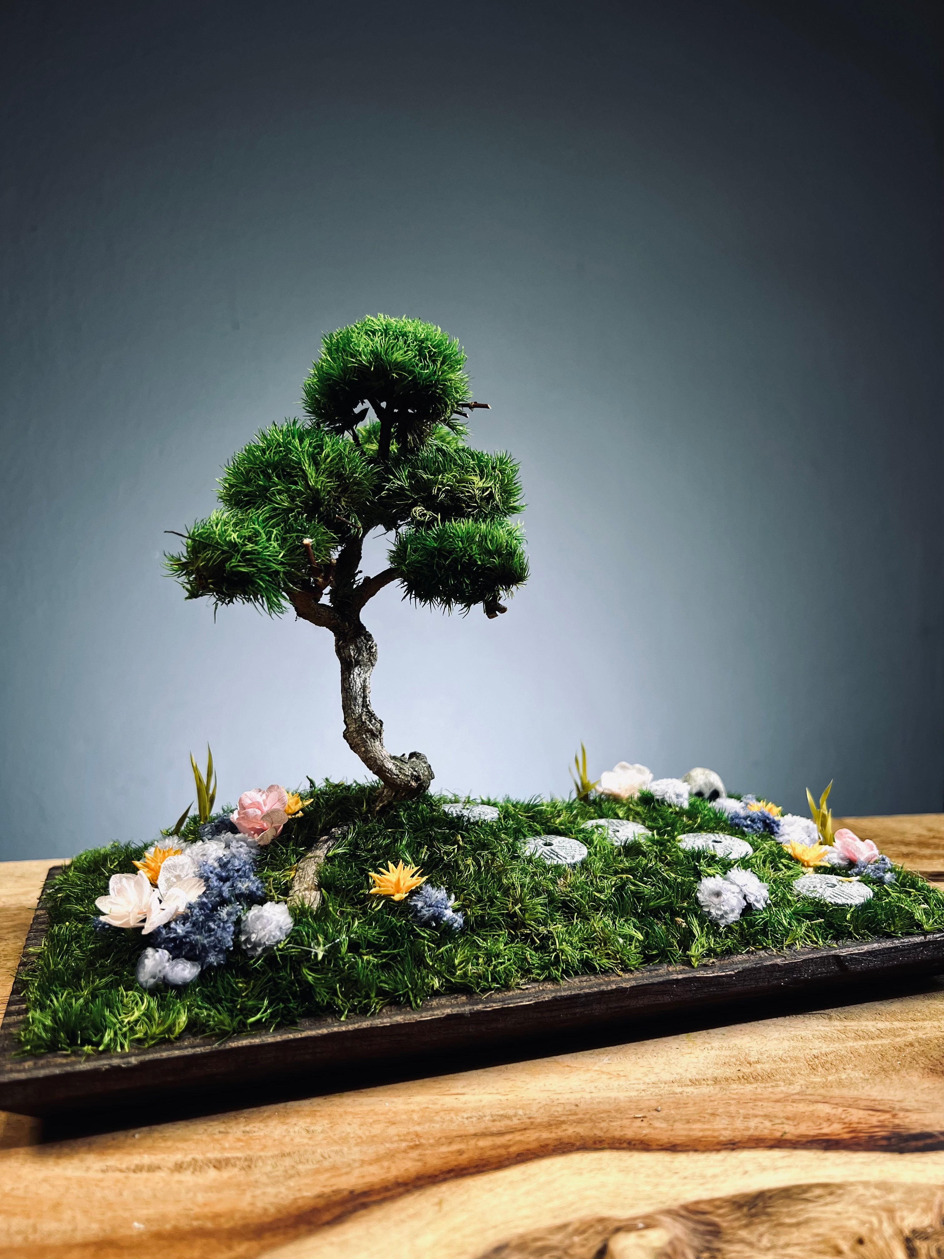 Violet Hill - Smaller version (Preserved Plants)