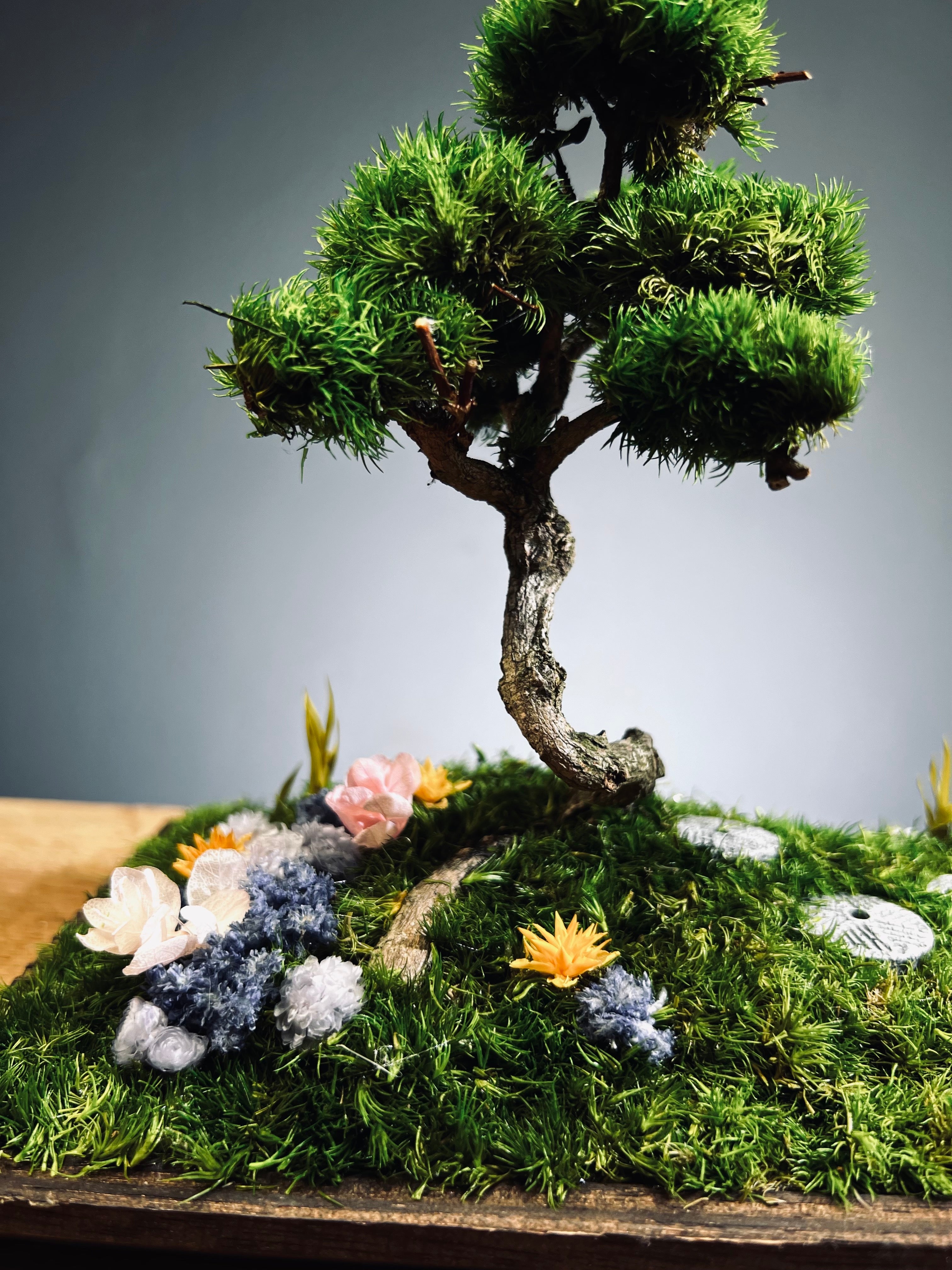 Violet Hill - Smaller version (Preserved Plants)