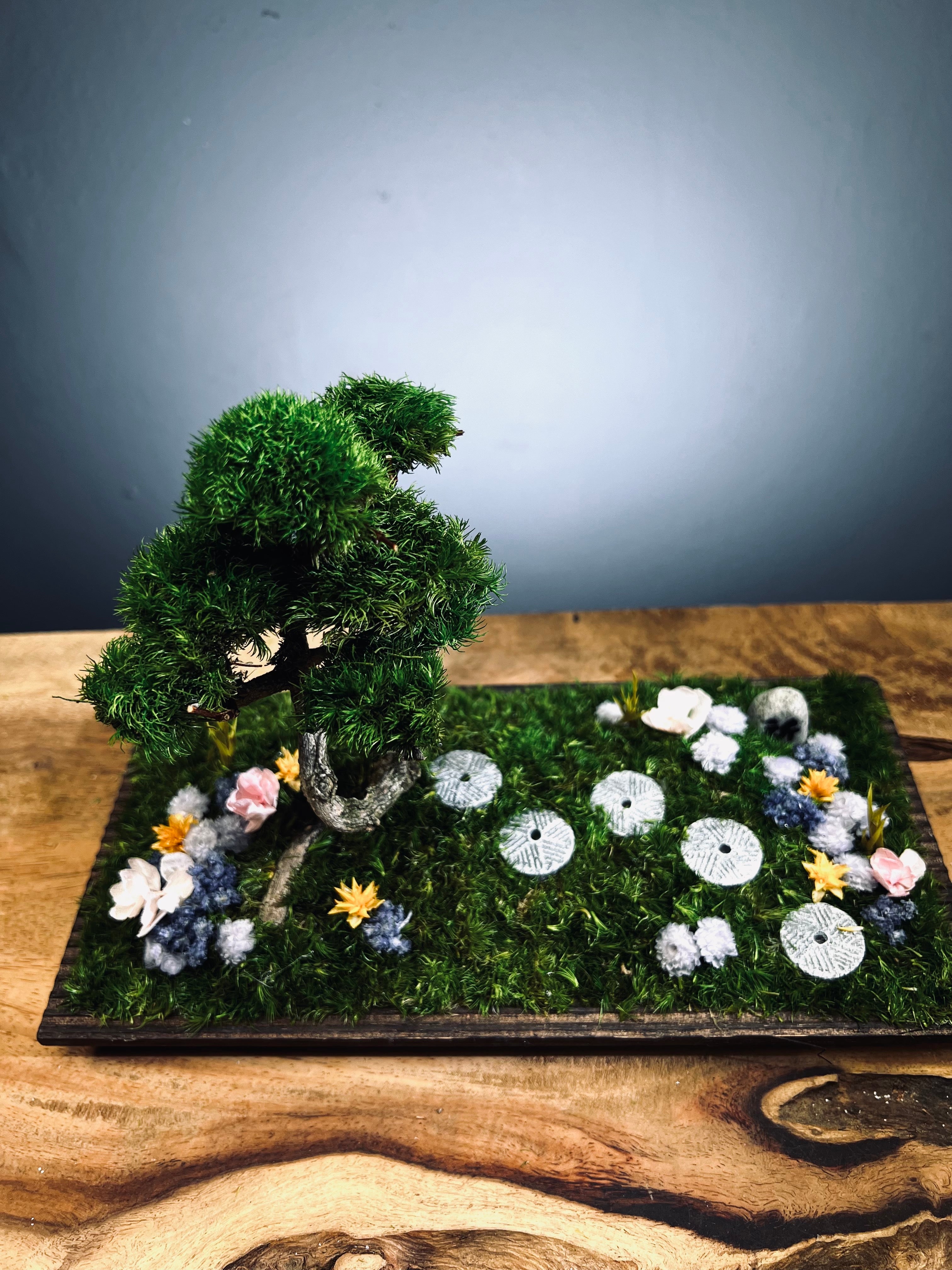 Violet Hill - Smaller version (Preserved Plants)