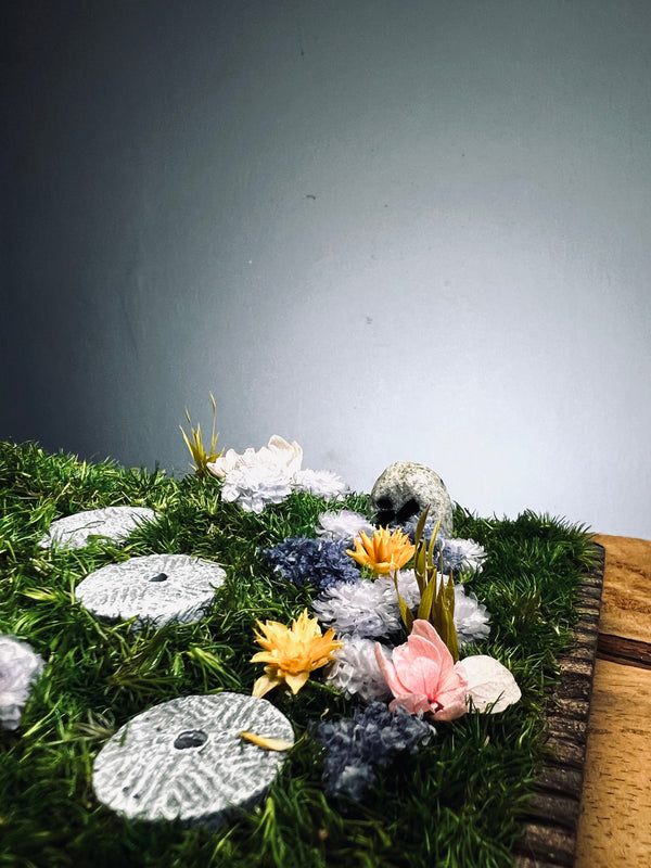 Violet Hill - Smaller version (Preserved Plants)