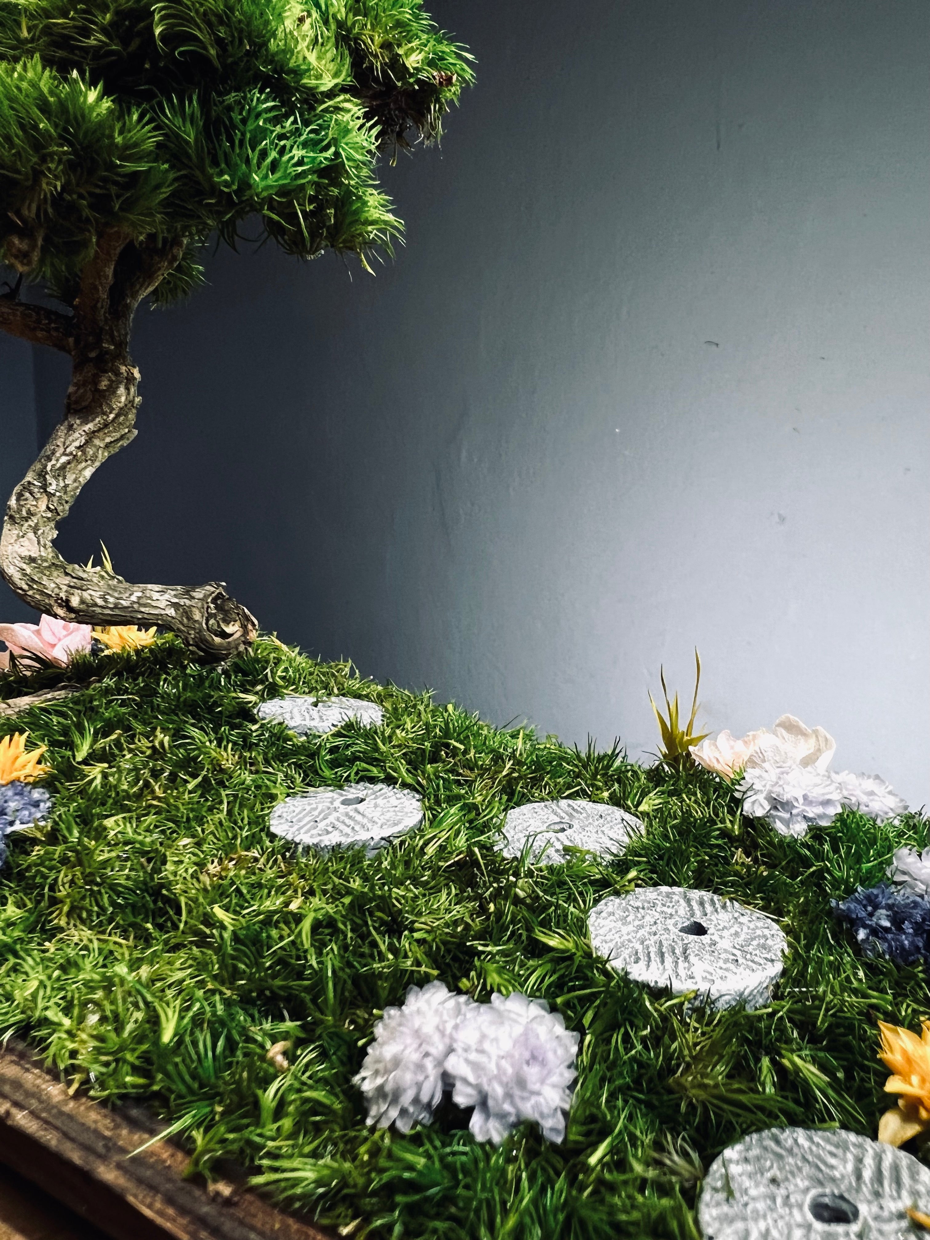 Violet Hill - Smaller version (Preserved Plants)