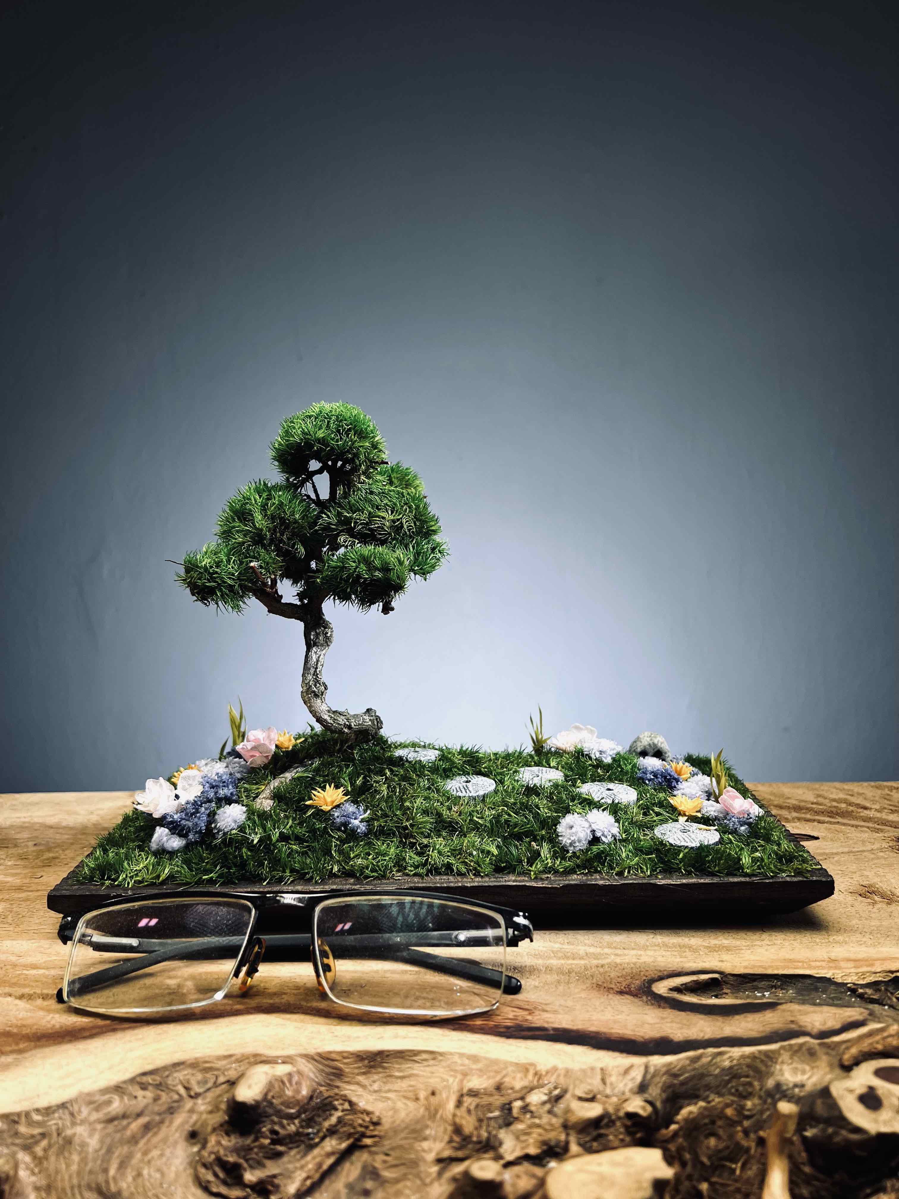 Violet Hill - Smaller version (Preserved Plants)