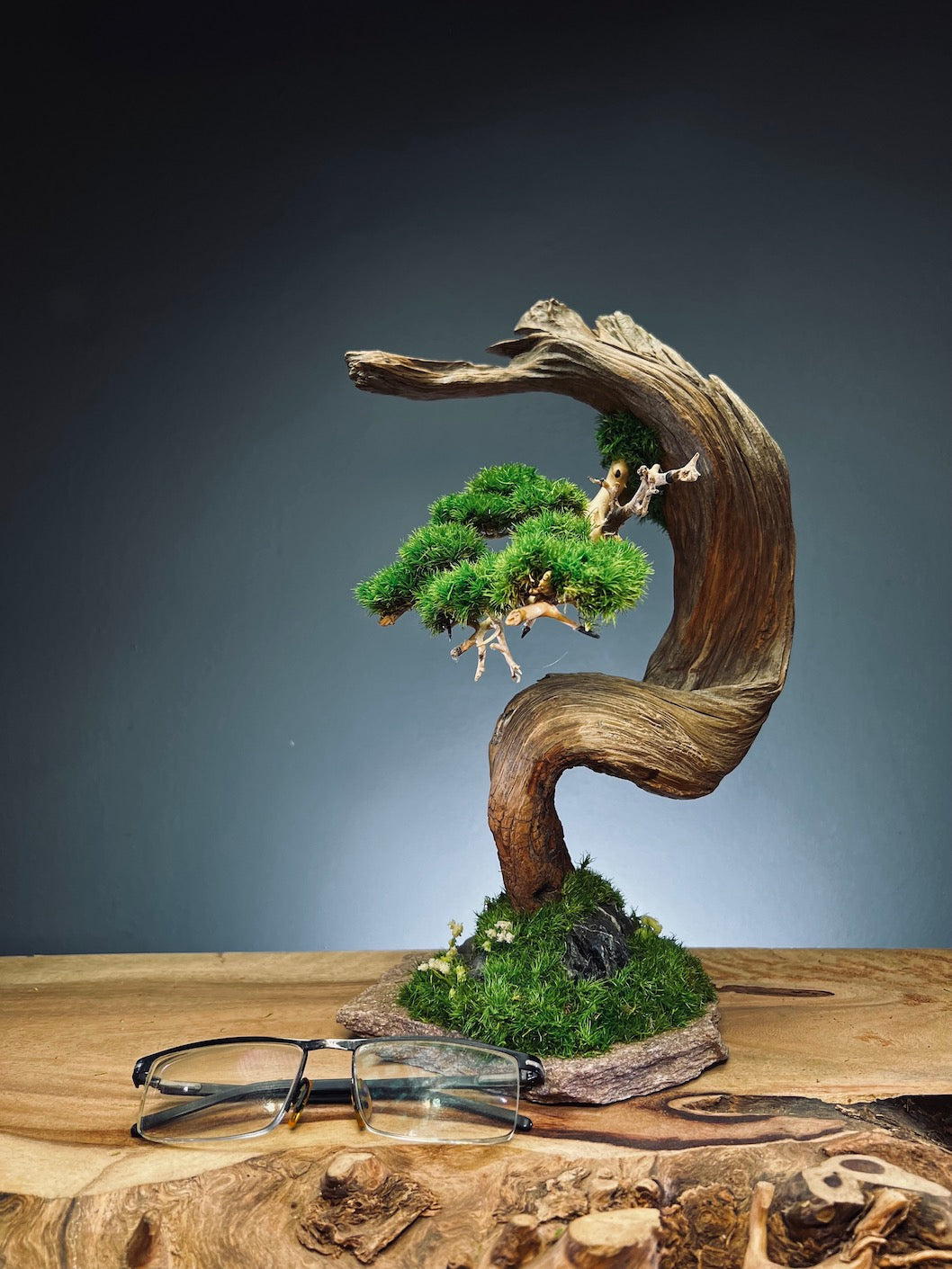 Half-Moon Bay (Preserved Plants)