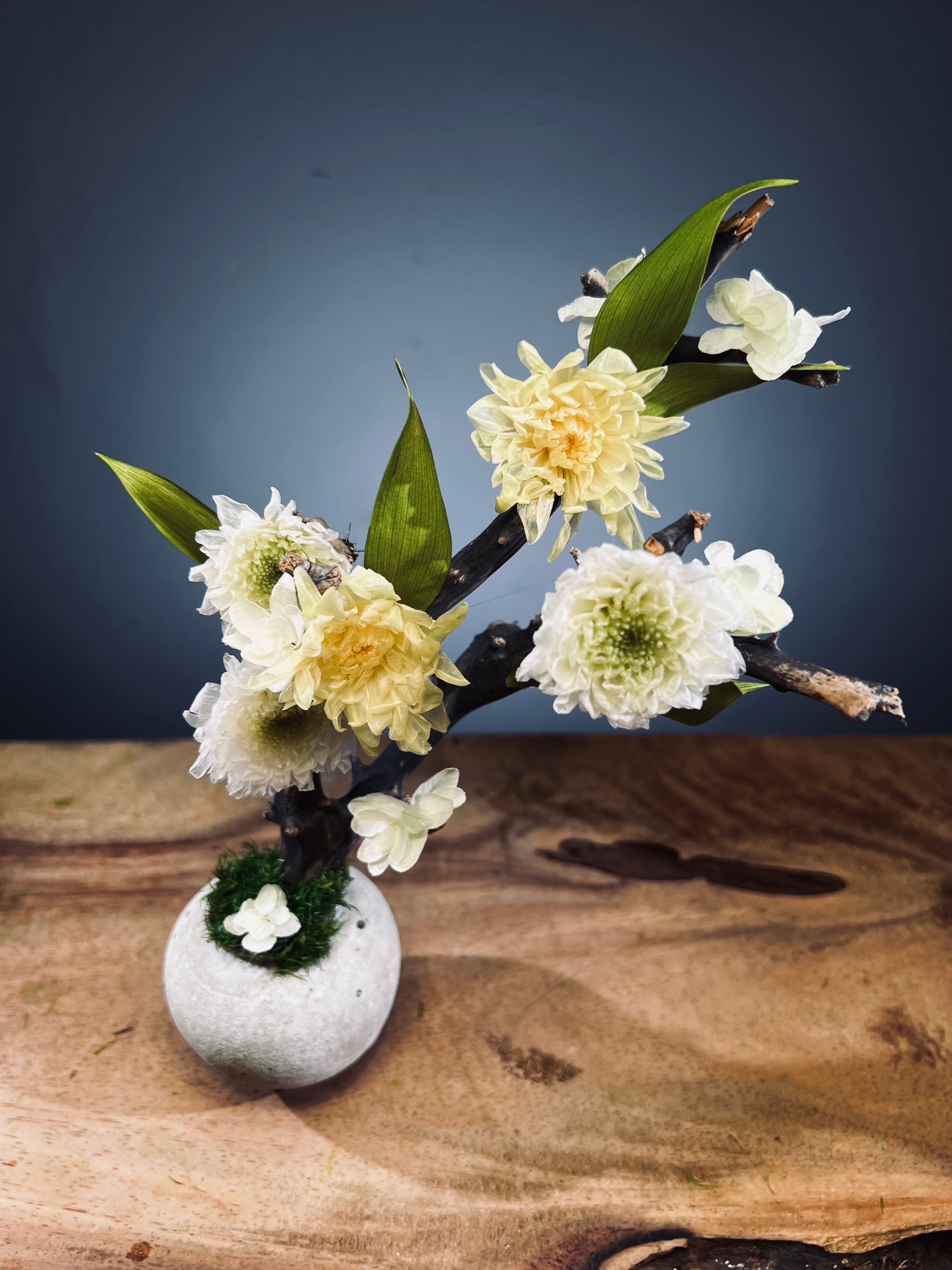 Children of the Forest - Vibrant (Preserved Plants)