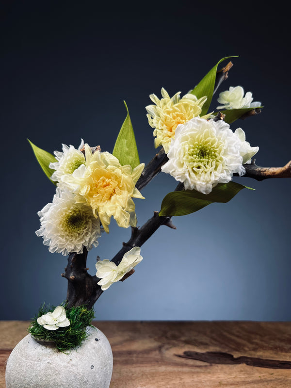 Children of the Forest - Vibrant (Preserved Plants)