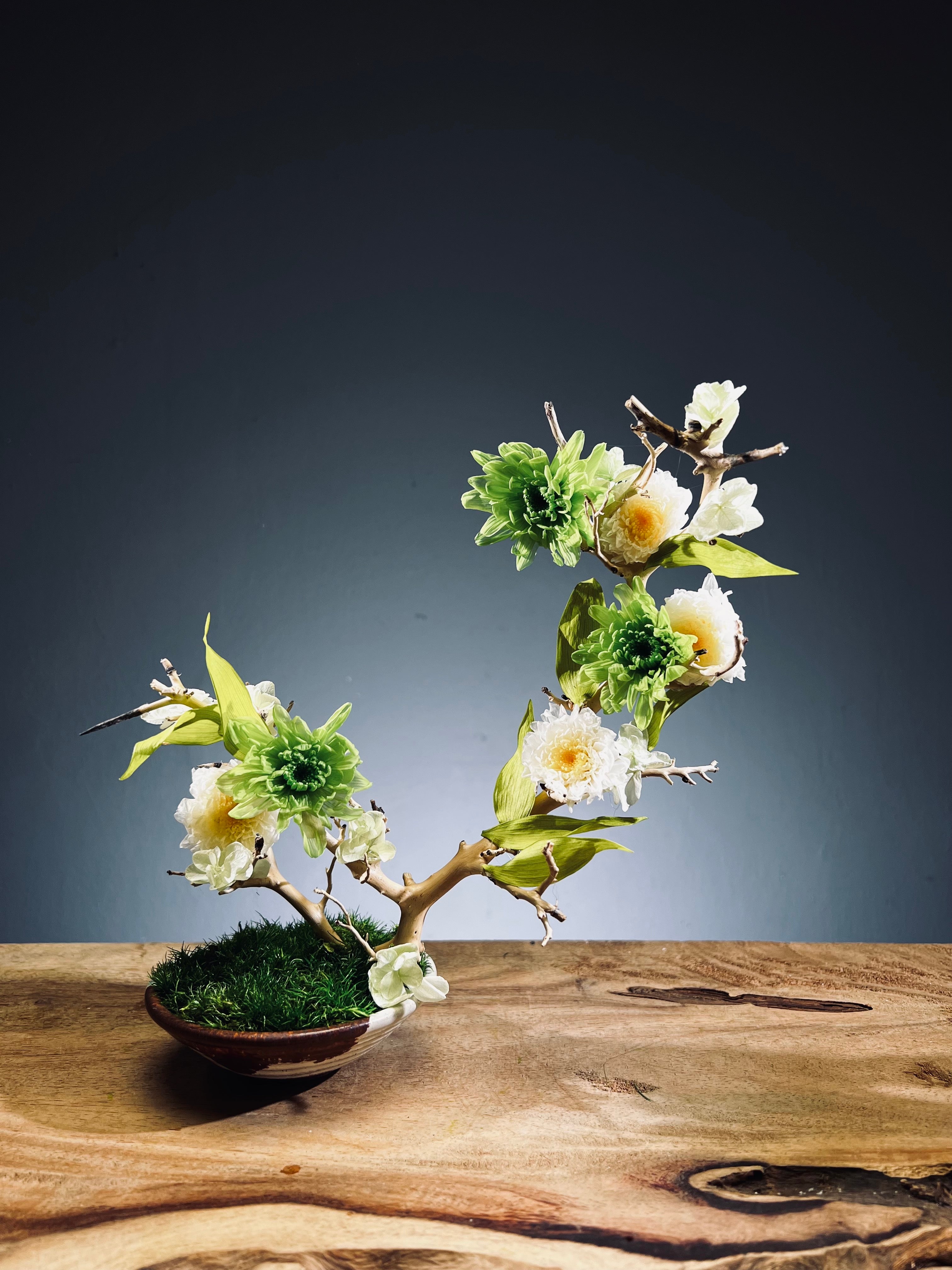 Children of the Forest - Vibrant (Preserved Plants)
