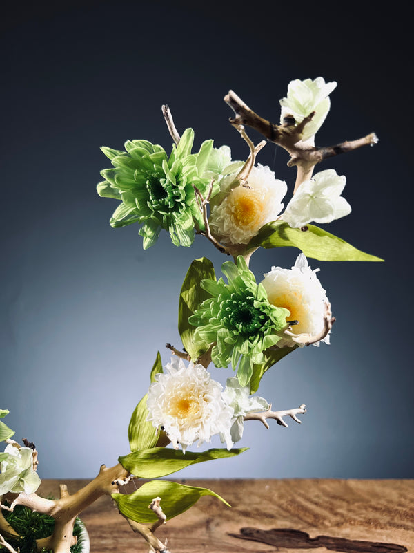 Children of the Forest - Vibrant (Preserved Plants)