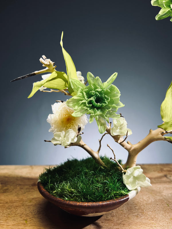 Children of the Forest - Vibrant (Preserved Plants)