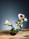 Children of the Forest - Vibrant (Preserved Plants)