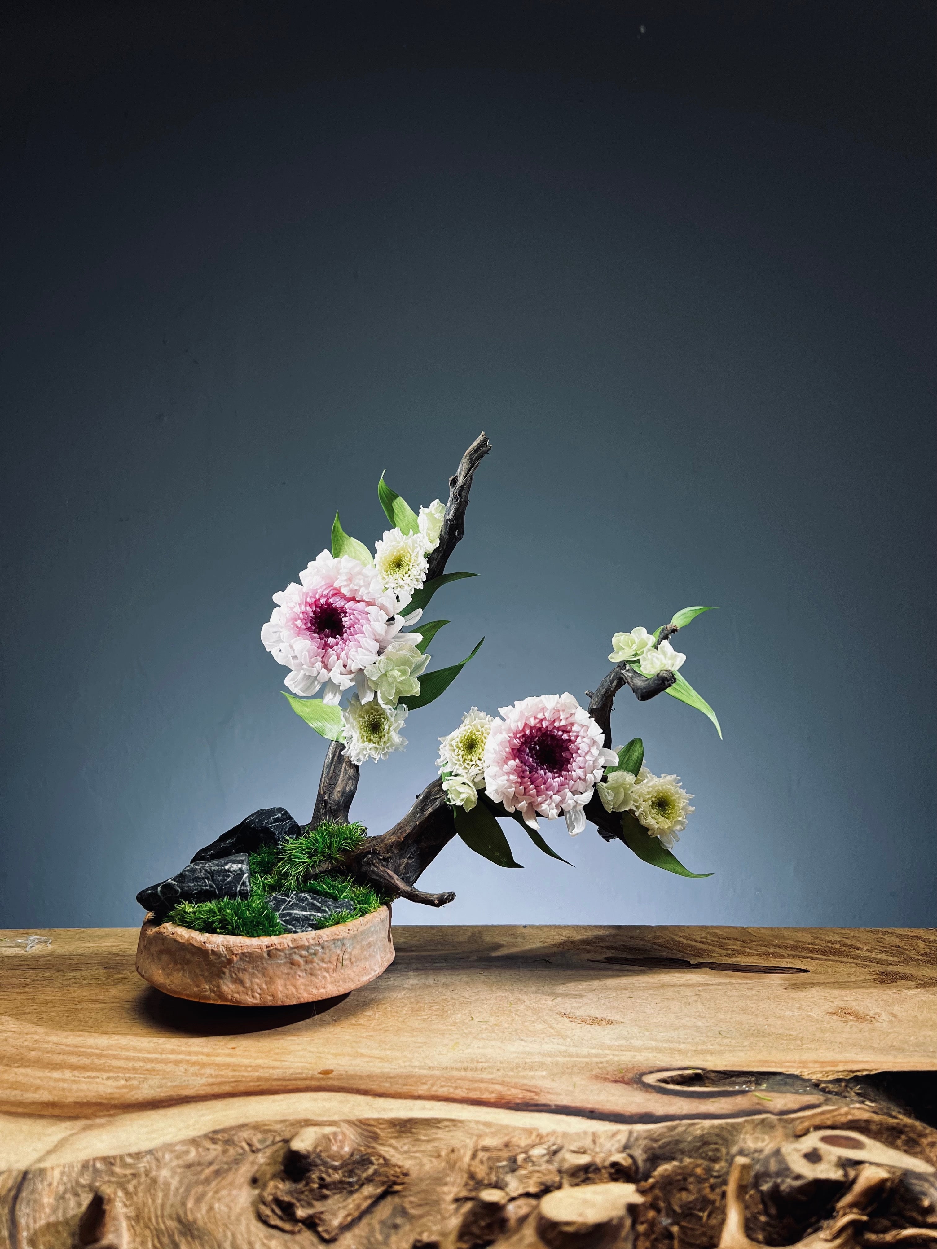 Children of the Forest - Vibrant (Preserved Plants)