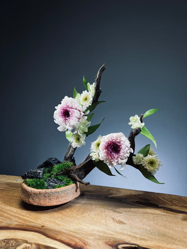 Children of the Forest - Vibrant (Preserved Plants)