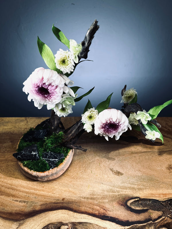 Children of the Forest - Vibrant (Preserved Plants)