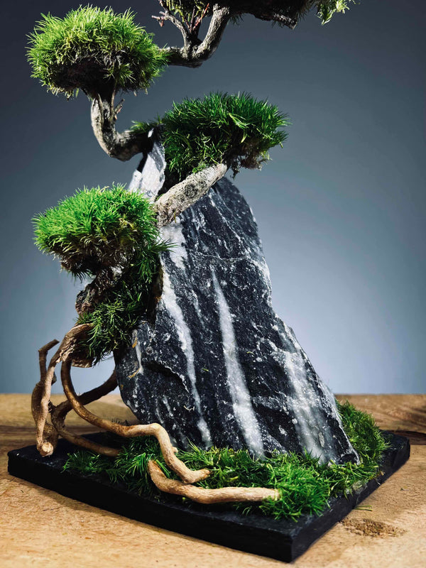 Rise - Stormy Hill (Preserved Plants)
