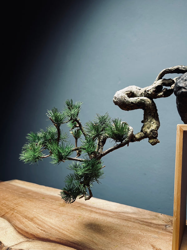 Summer's Whispers - White Pine edition (Preserved Plants)