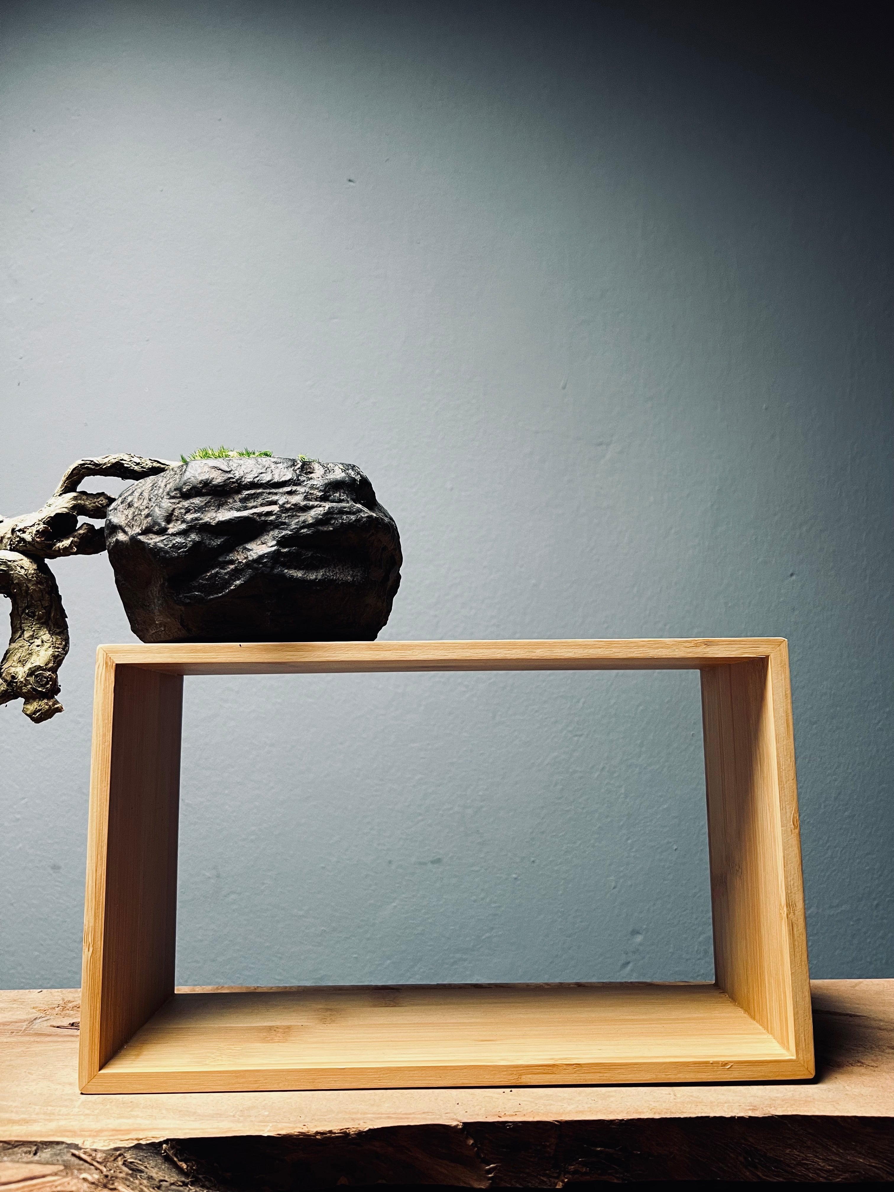 Summer's Whispers - White Pine edition (Preserved Plants)