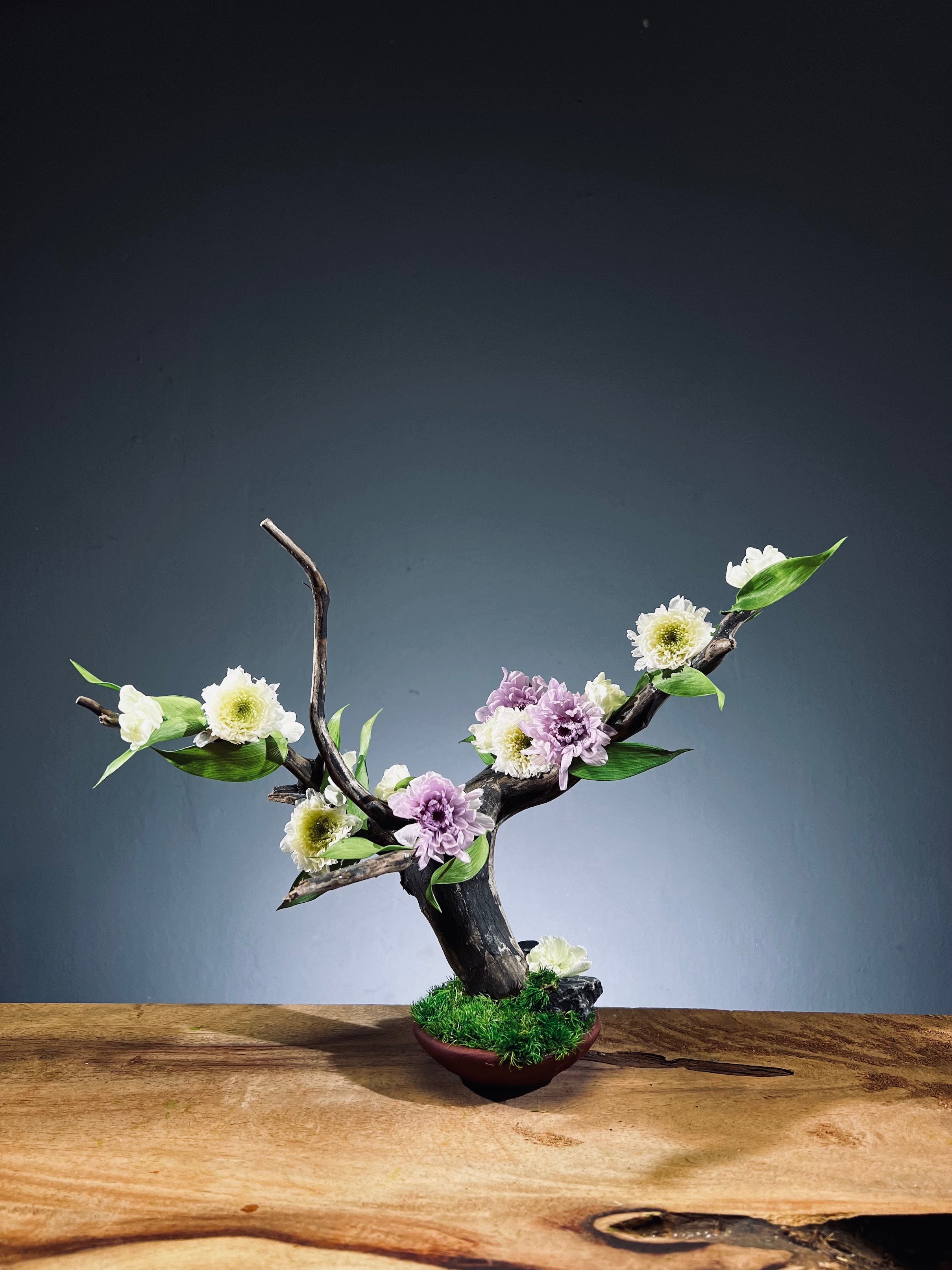 Children of the Forest - Vibrant (Preserved Plants)