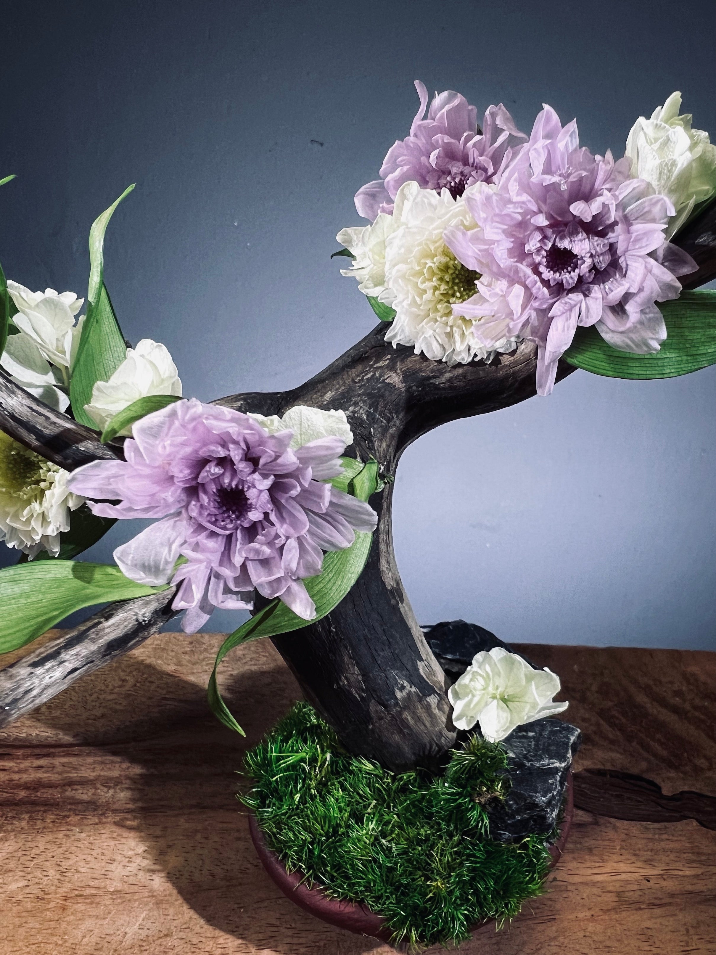 Children of the Forest - Vibrant (Preserved Plants)