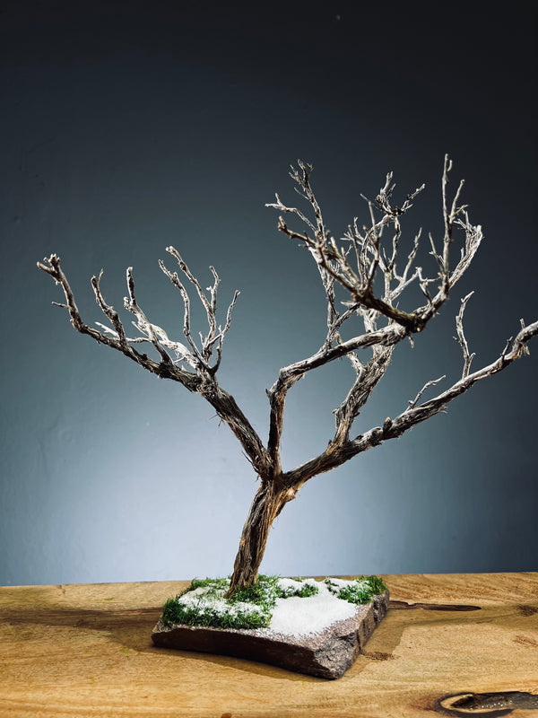 Winter's Deep (Preserved Plants)