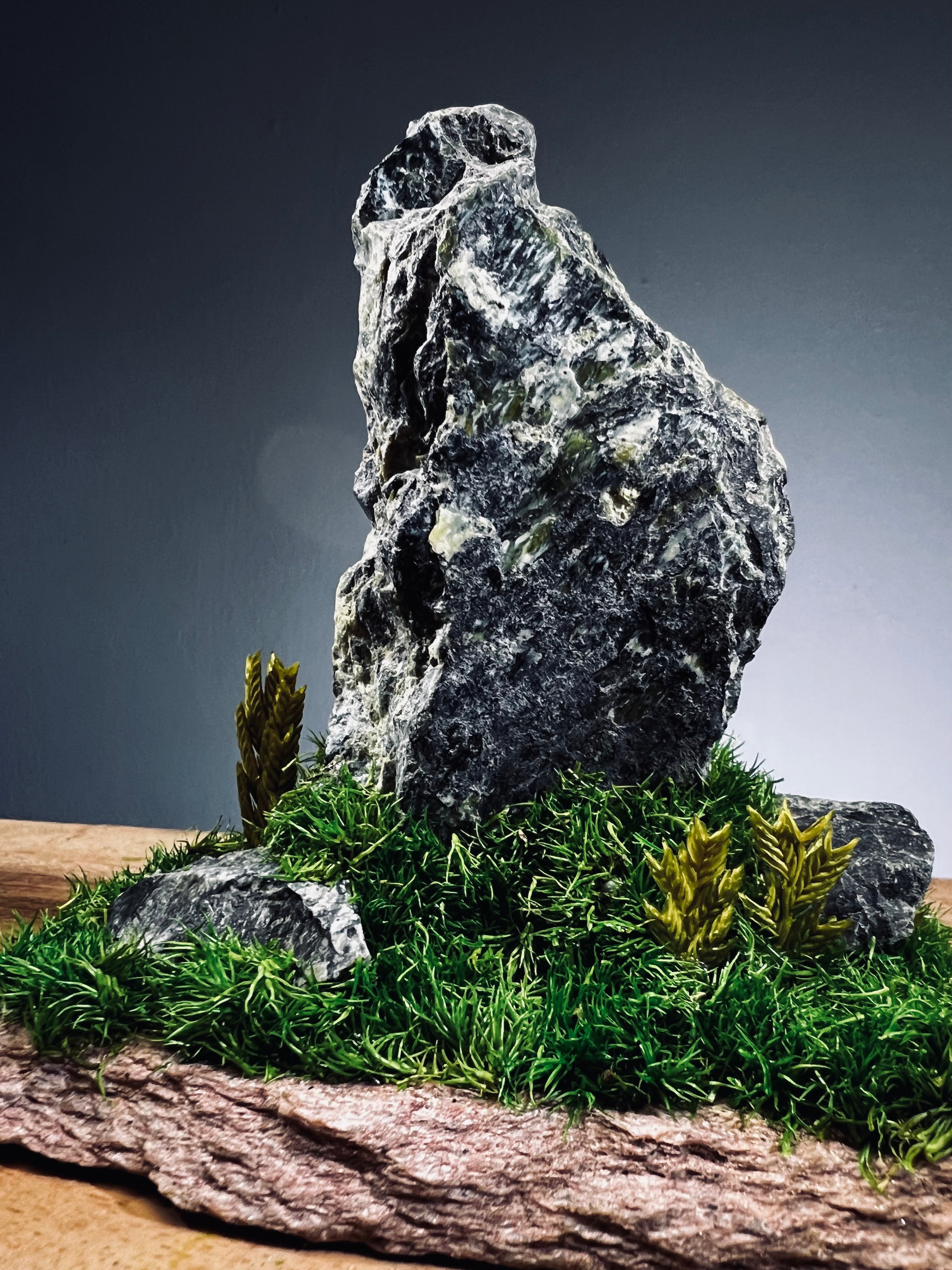 Slow Stone - Freshman - Jade (Preserved Plants)