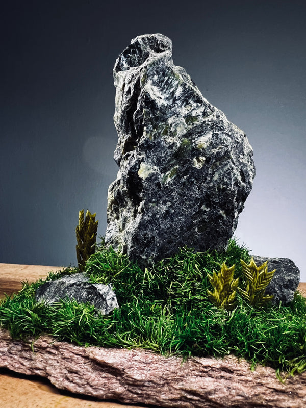 Slow Stone - Freshman - Jade (Preserved Plants)