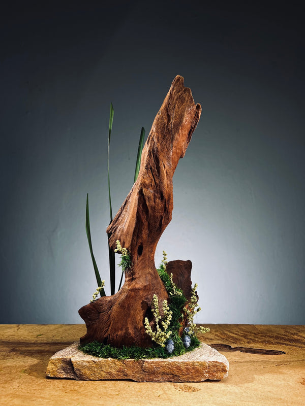 Slow Wood - Walnut Wild (Preserved Plants)