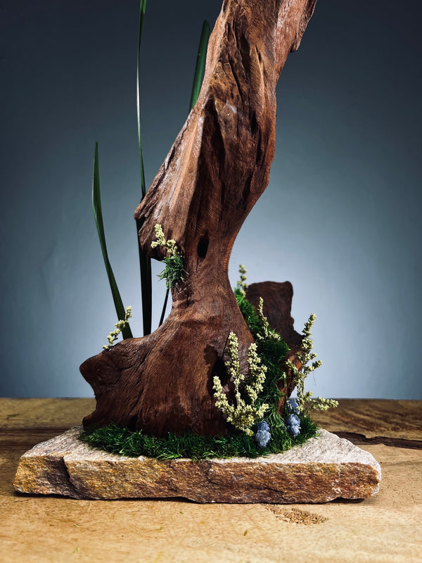 Slow Wood - Walnut Wild (Preserved Plants)
