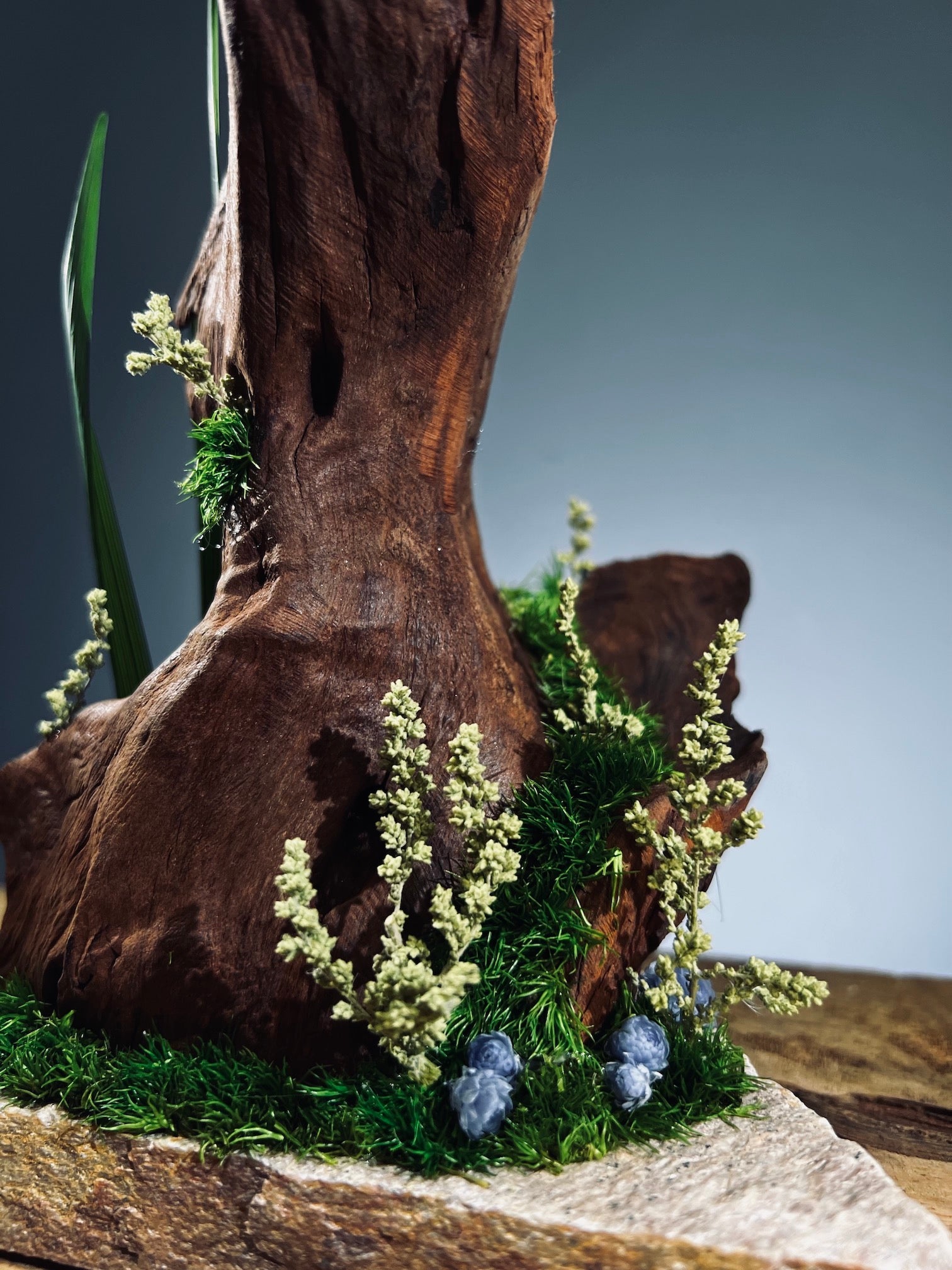 Slow Wood - Walnut Wild (Preserved Plants)