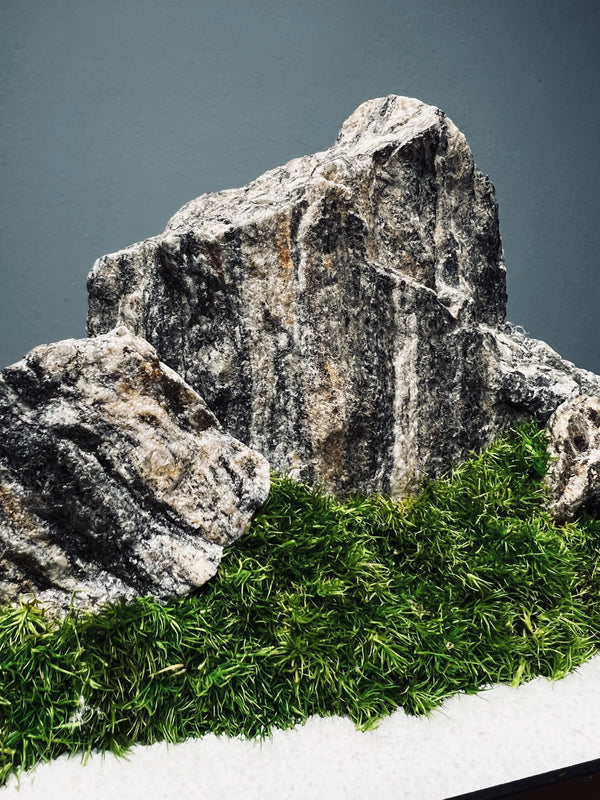 Alpine Meadow - Winter Lake (Preserved Plants)