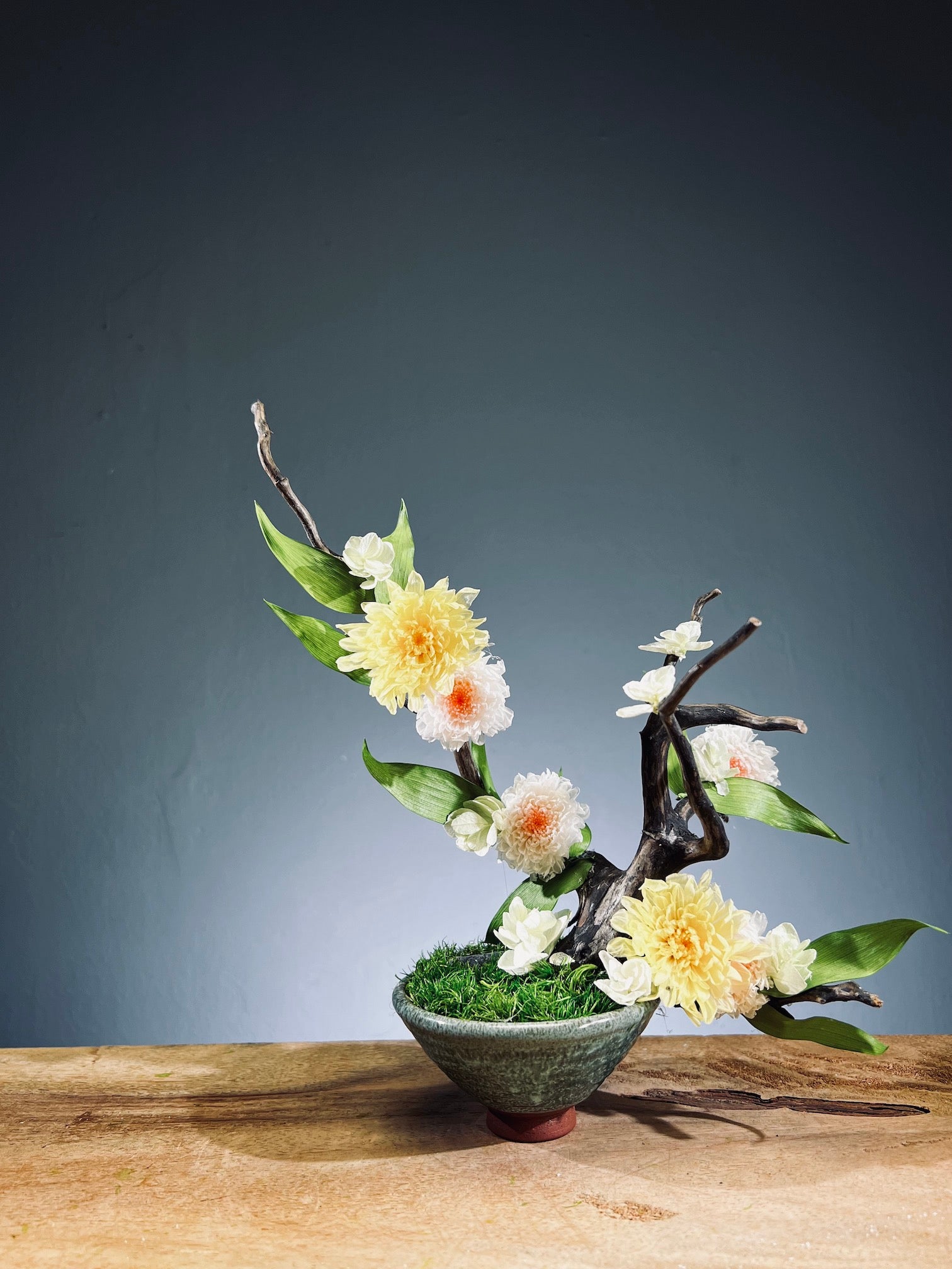 Children of the Forest - Vibrant (Preserved Plants)