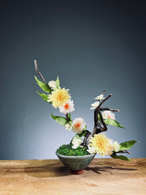 Children of the Forest - Vibrant (Preserved Plants)