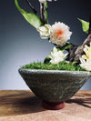 Children of the Forest - Vibrant (Preserved Plants)