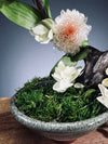 Children of the Forest - Vibrant (Preserved Plants)