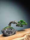 Lone Pine - Young (Preserved Plants)