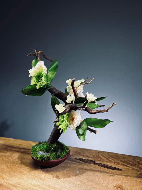 Children of the Forest - Vibrant (Preserved Plants)