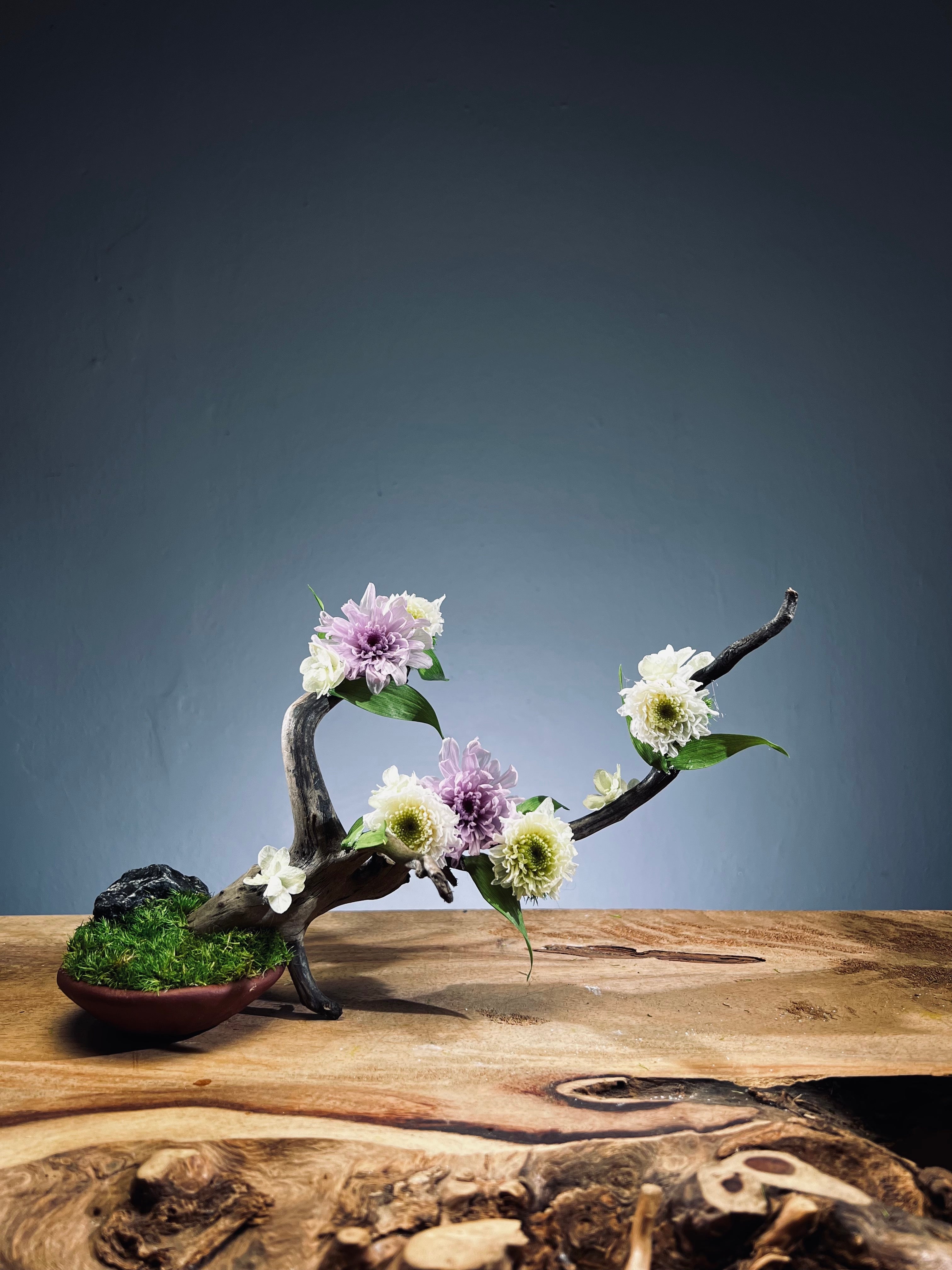 Children of the Forest - Vibrant (Preserved Plants)