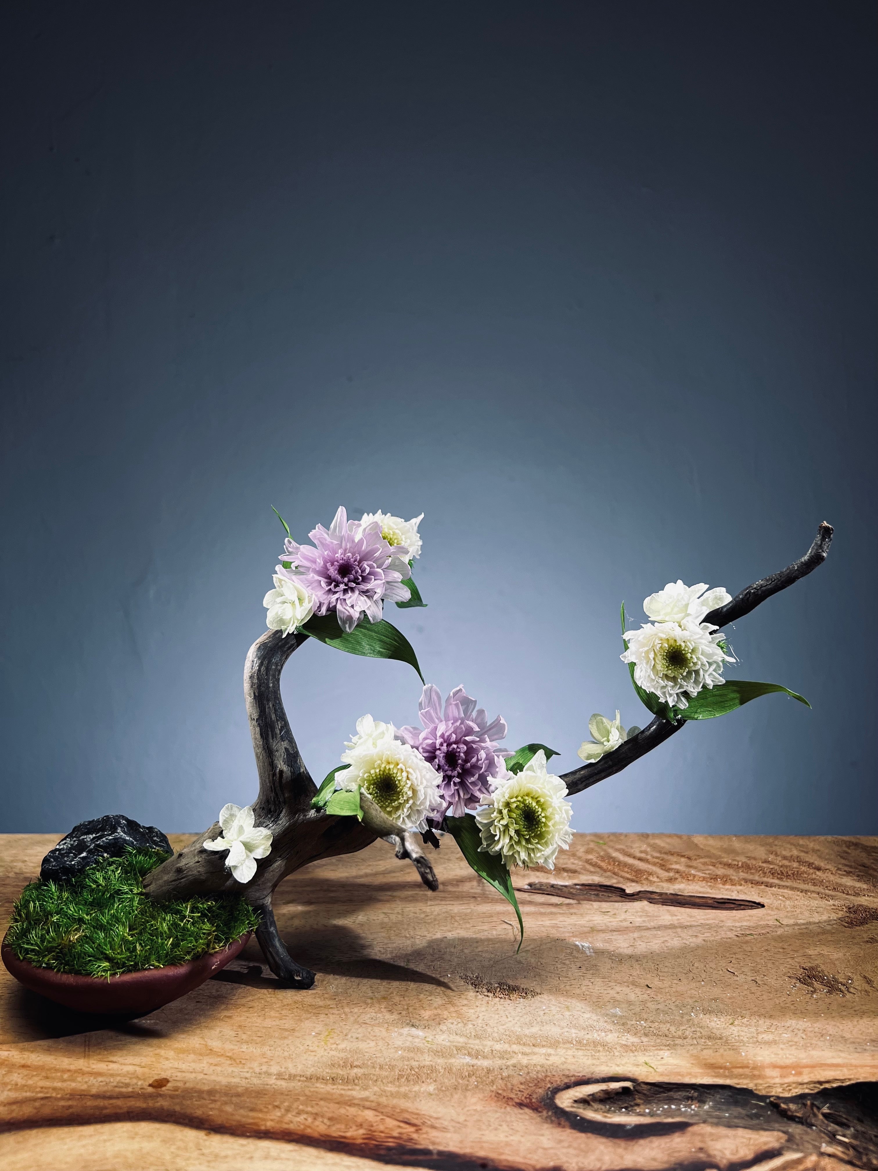 Children of the Forest - Vibrant (Preserved Plants)