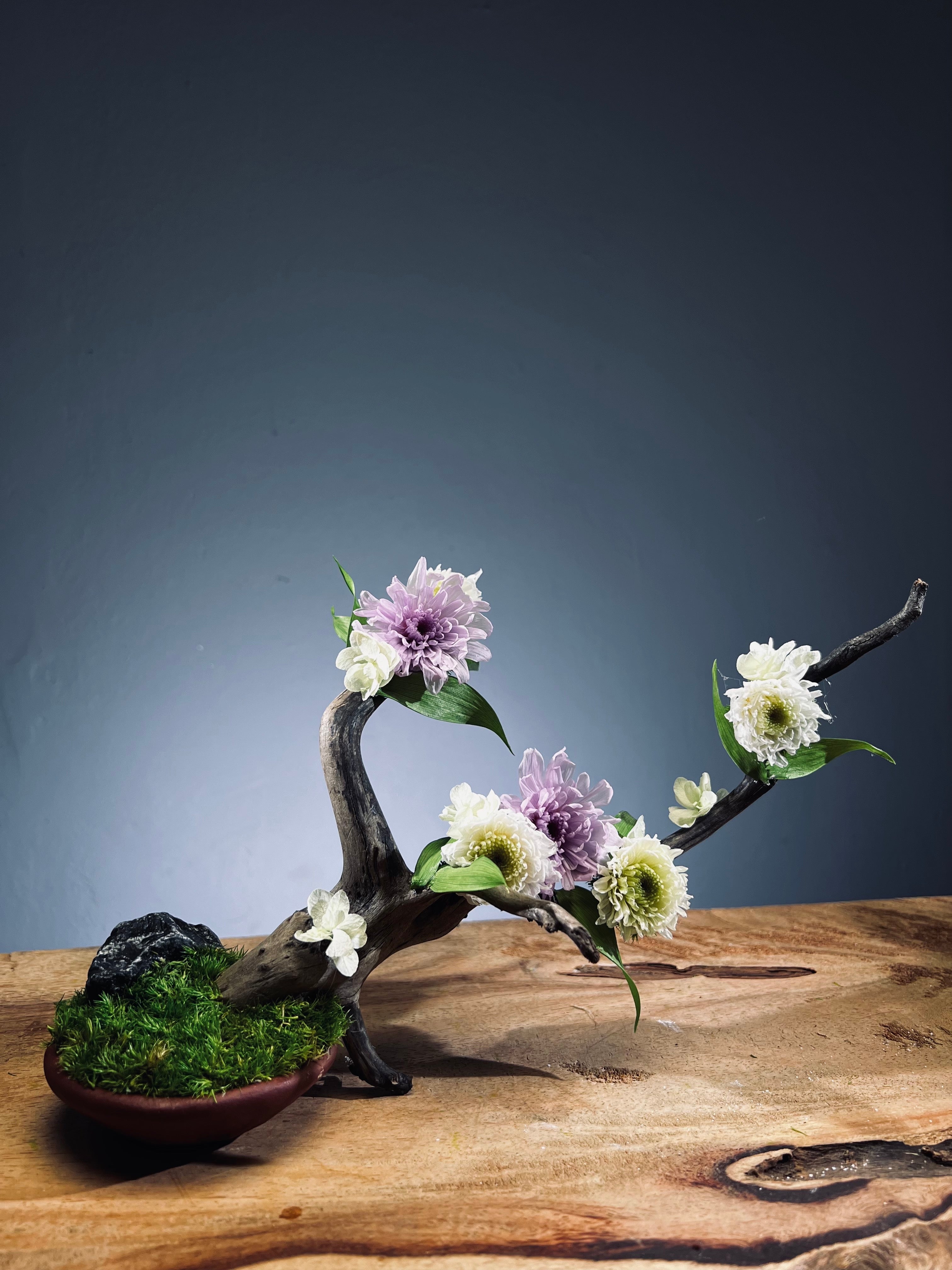 Children of the Forest - Vibrant (Preserved Plants)