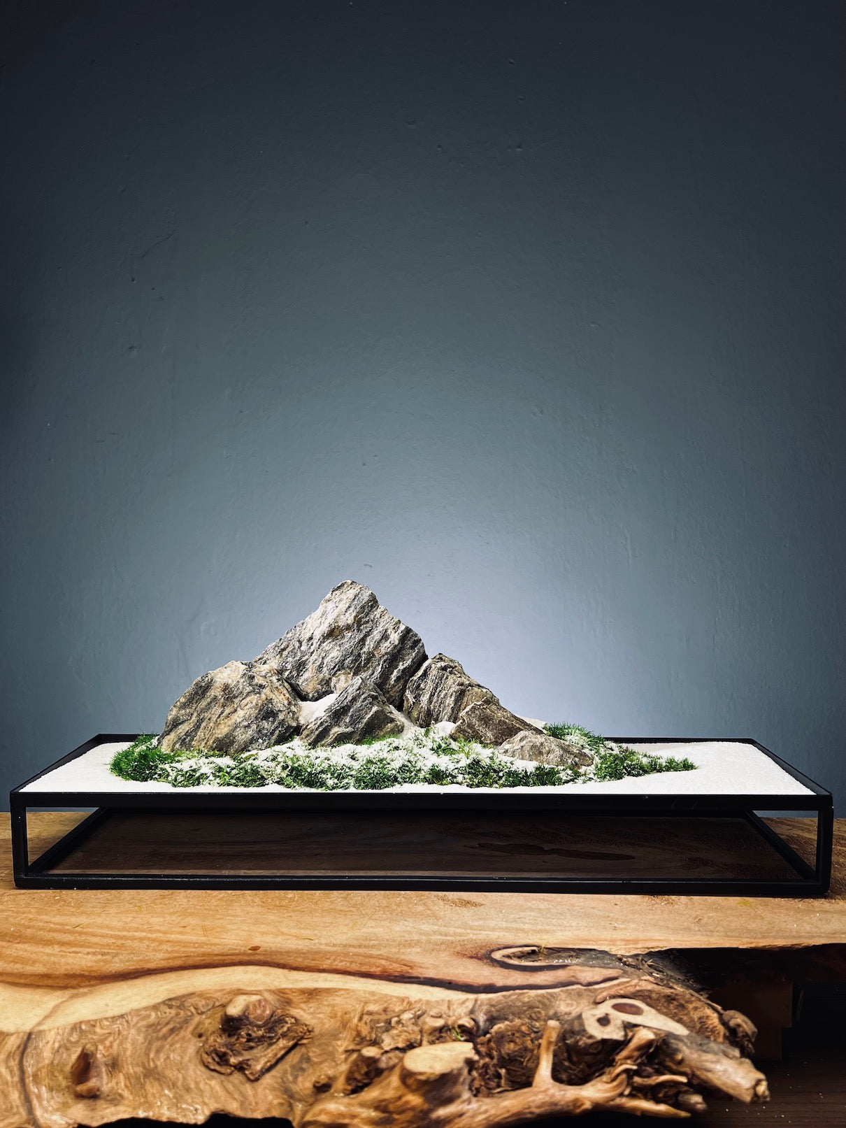 Alpine Meadow - Winter Lake (Preserved Plants)