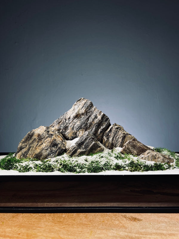 Alpine Meadow - Winter Lake (Preserved Plants)