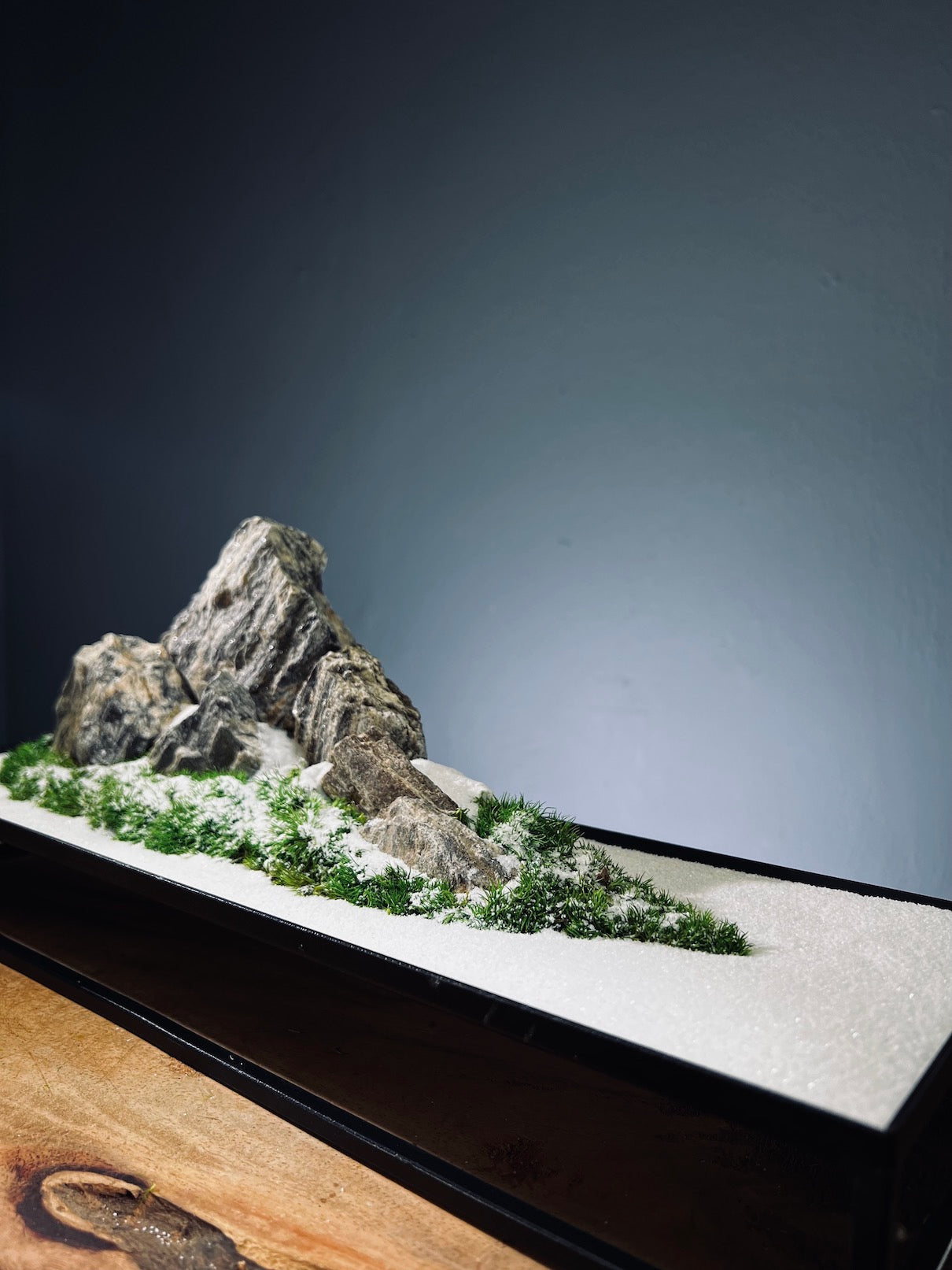 Alpine Meadow - Winter Lake (Preserved Plants)