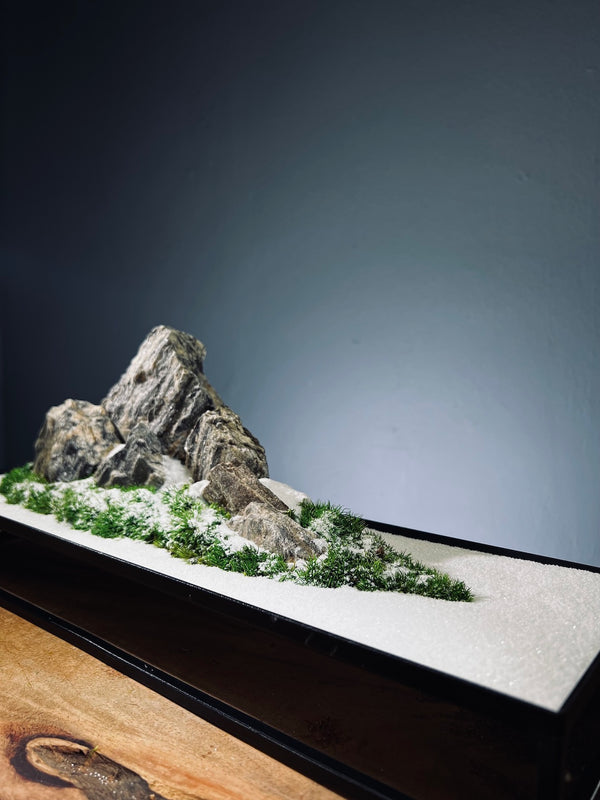 Alpine Meadow - Winter Lake (Preserved Plants)