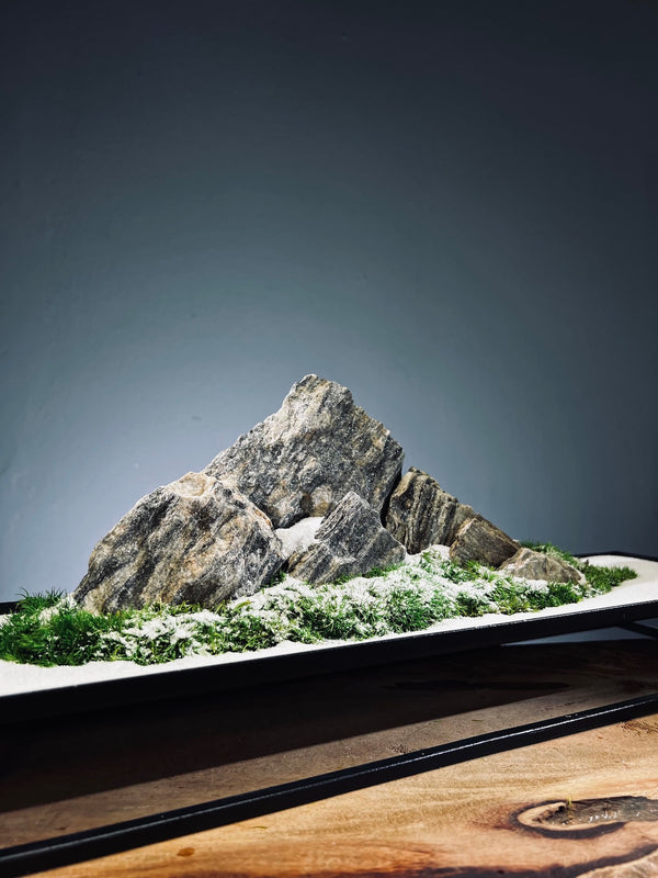 Alpine Meadow - Winter Lake (Preserved Plants)